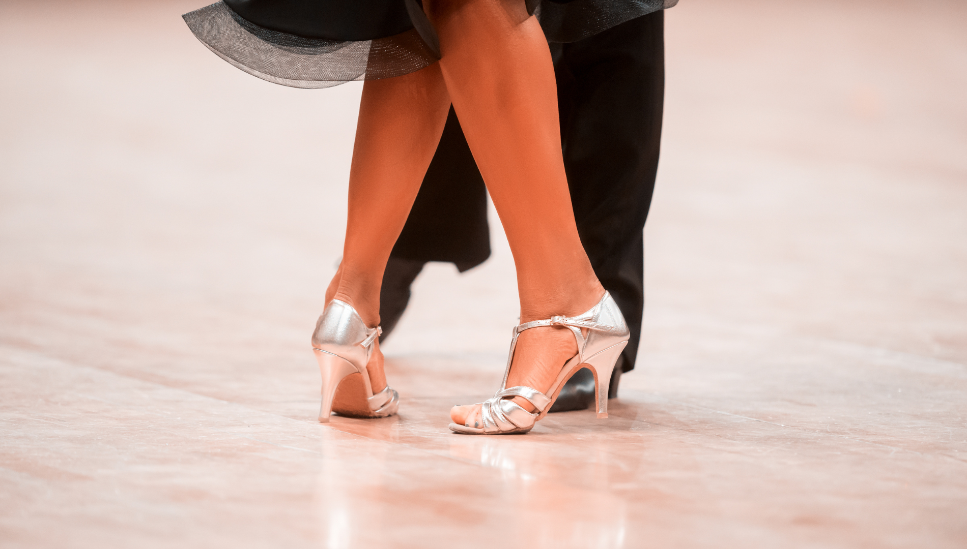 Acheter Chaussures de danse de salon à talons hauts pour femmes de 8CM,  chaussures de danse modernes Jazz, chaussures de danse à semelles souples
